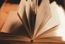 internal linking for authority